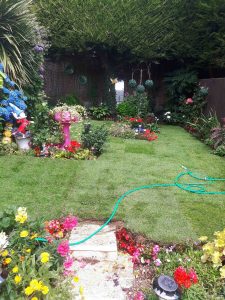 New turf on a lawn in Kent