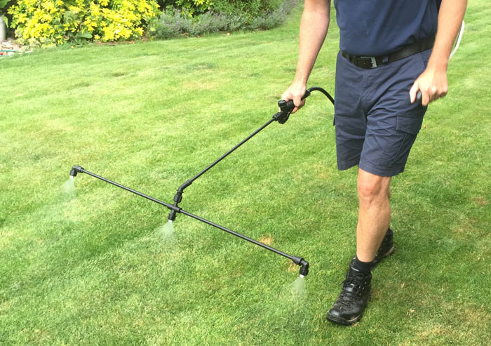 Summer lawn spraying treatment Kent Sittingbourne UK