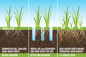 Hollow Core Aeration